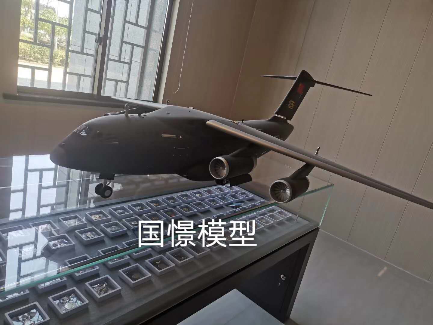 桃江县飞机模型