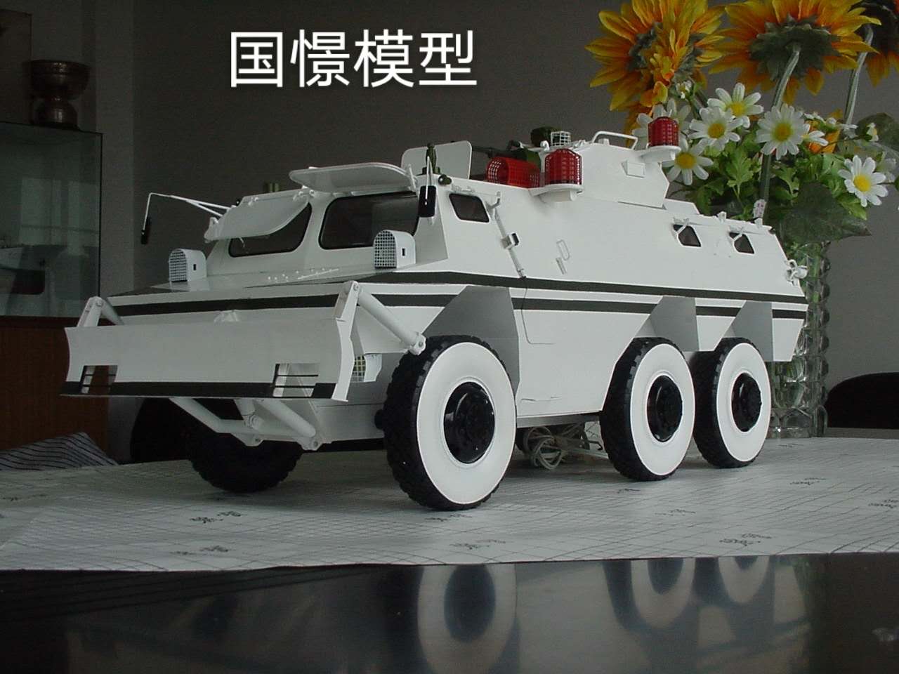 桃江县军事模型