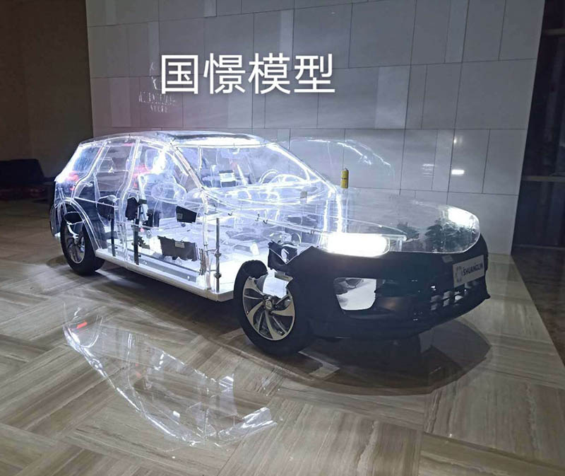 桃江县透明车模型